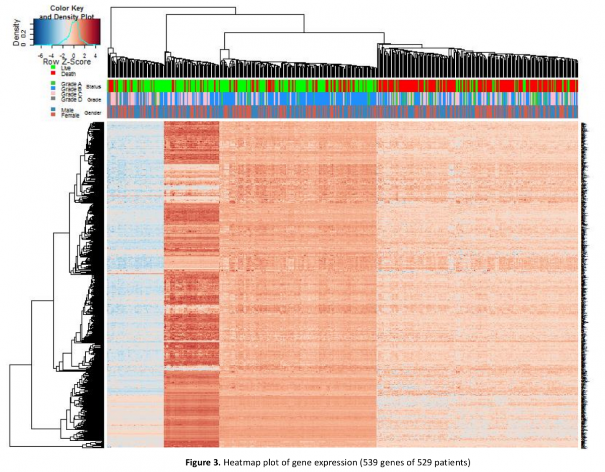 Gene Regulatory Network Analysis – Ancheng's Playground