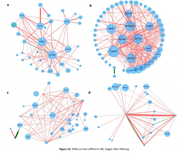 Gene Regulatory Network Analysis – Ancheng's Playground